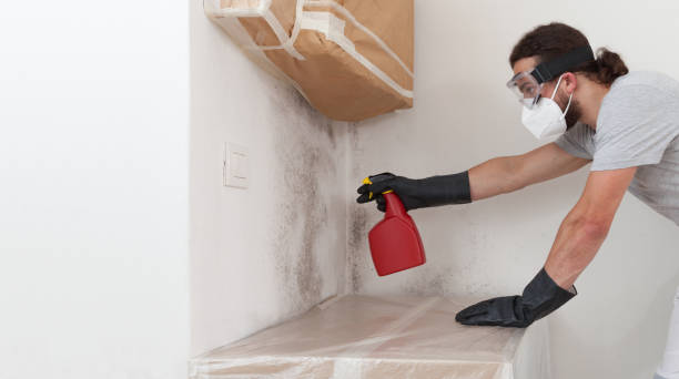 Professional Mold Testing technician working in Island Lake, IL